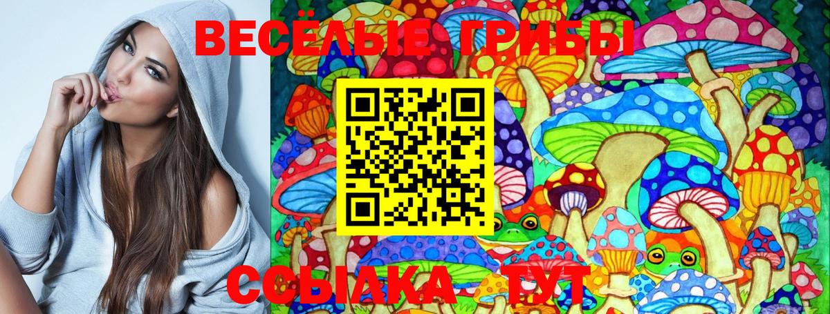 где купить   Псилоцибиновые грибы Cubensis  Вход с VPN  Галлюциногенные грибы Magic Shrooms  Магадан 