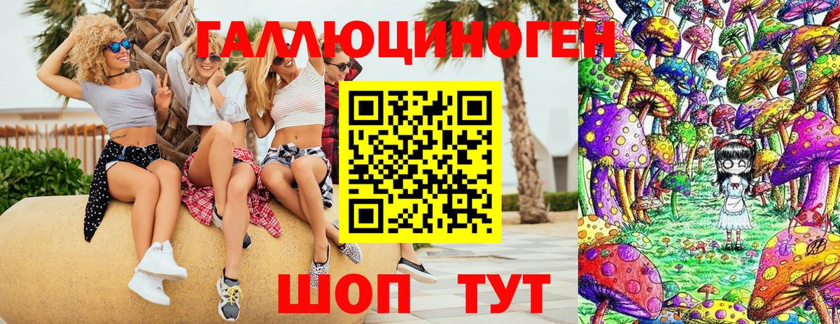 Псилоцибиновые грибы Psilocybe Магадан